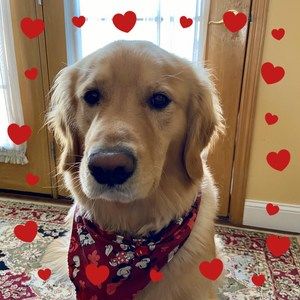 Meet your Posher, Suzanne